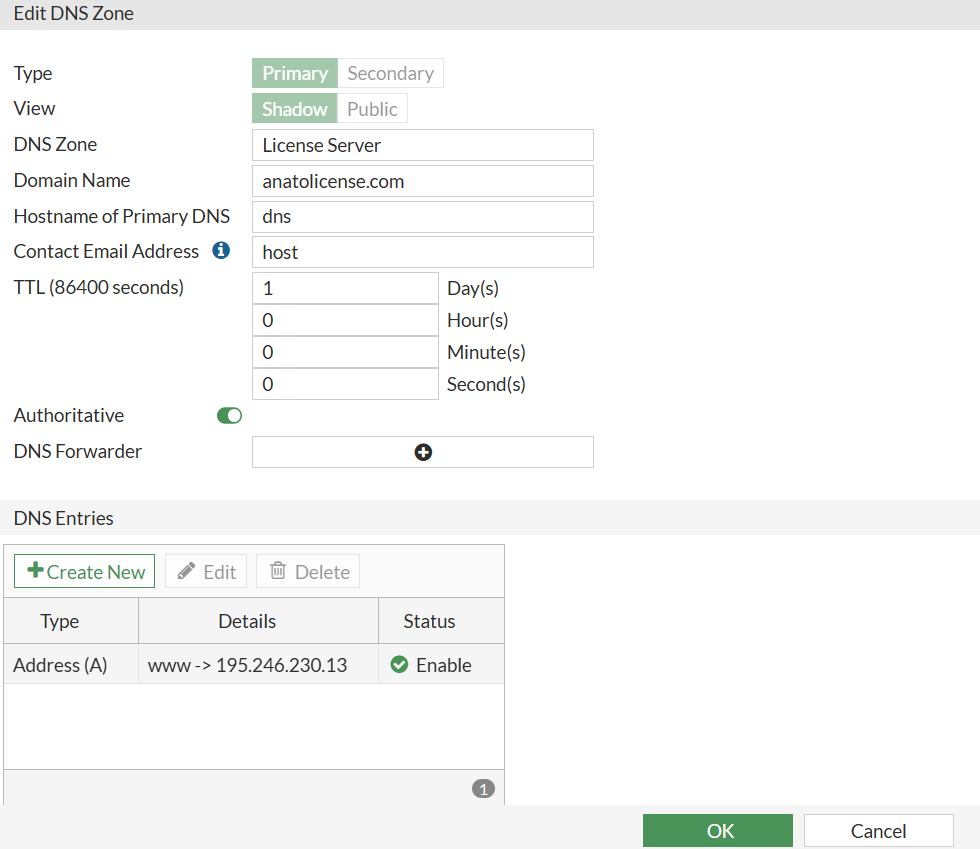 Creating an A record in a firewall
